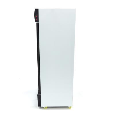 Maxima Lednice na nápoje 800L |  09404030